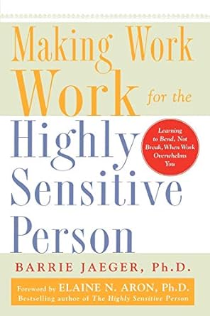 making work work for the highly sensitive person 1st edition barrie jaeger 0071441778, 978-0071441773