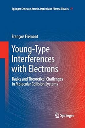 young type interferences with electrons basics and theoretical challenges in molecular collision systems 1st