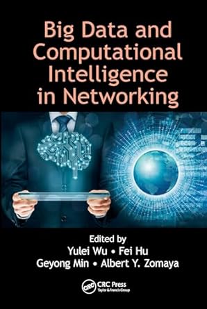 big data and computational intelligence in networking 1st edition yulei wu ,fei hu ,geyong min ,albert y