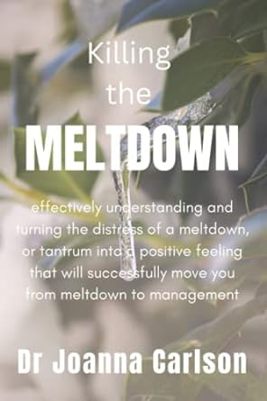 killing the meltdown effectively understanding and turning the distress of meltdown or tantrum into a