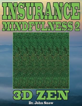 insurance mindfulness 2 3d zen 1st edition dr. john snow b01n0pia8h