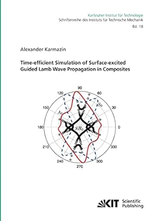 time efficient simulation of surface excited guided lamb wave propagation in composites 1st edition alexander