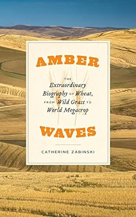 amber the extraordinary biography wheat from wild grass to world megacrop waves 1st edition catherine