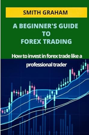 a beginner s guide to forex trading a step by step guide to invest in forex trade like a professional trader