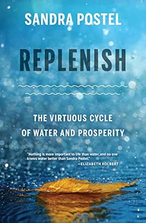 replenish the virtuous cycle of water and prosperity 1st edition sandra postel 1642830100, 978-1642830101