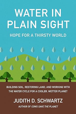 water in plain sight hope for a thirsty world 1st edition judith d. schwartz 1603589163, 978-1603589161
