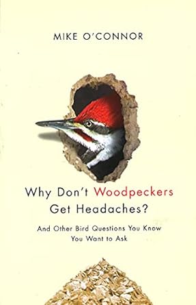 why do not woodpeckers get headaches and other bird questions you know you want to ask 1st edition mike