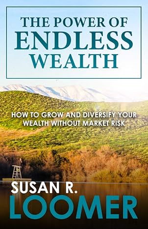 the power of endless wealth how to grow and diversify your wealth without market risk 1st edition susan r