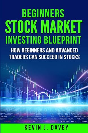 beginners stock market investing blueprint how beginners and advanced traders can succeed in stocks 1st