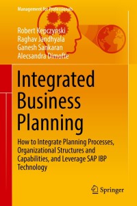 integrated business planning how to integrate planning processes organizational structures and capabilities