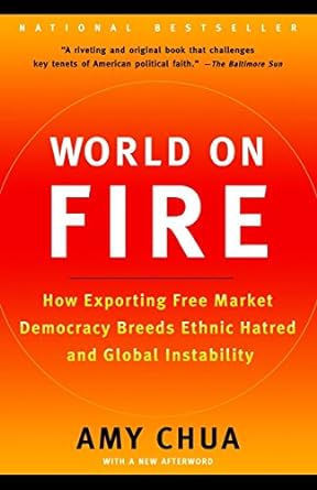 world on fire how exporting free market democracy breeds ethnic hatred and global instability 1st edition amy