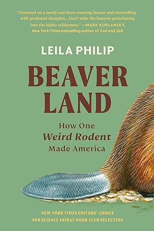 beaverland how one weird rodent made america 1st edition leila philip 1538755203, 978-1538755204