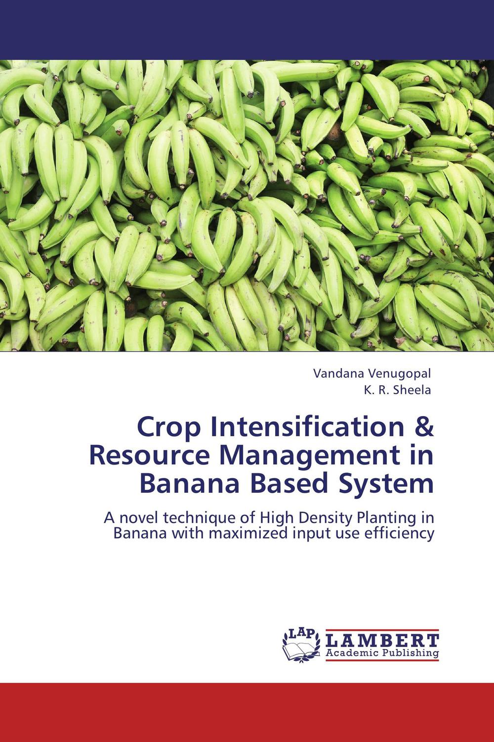 crop intensification and resource management in banana based system a novel technique of high density