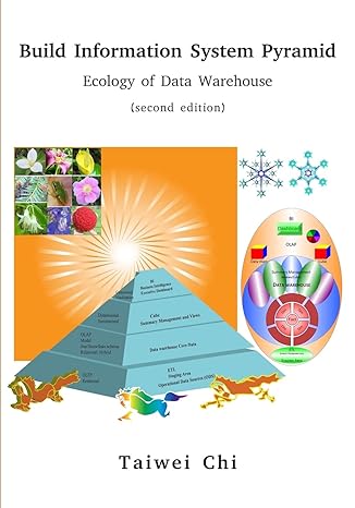 build information system pyramid ecology of data warehouse 2nd edition taiwei chi b0c4855gv4, 979-8886409475