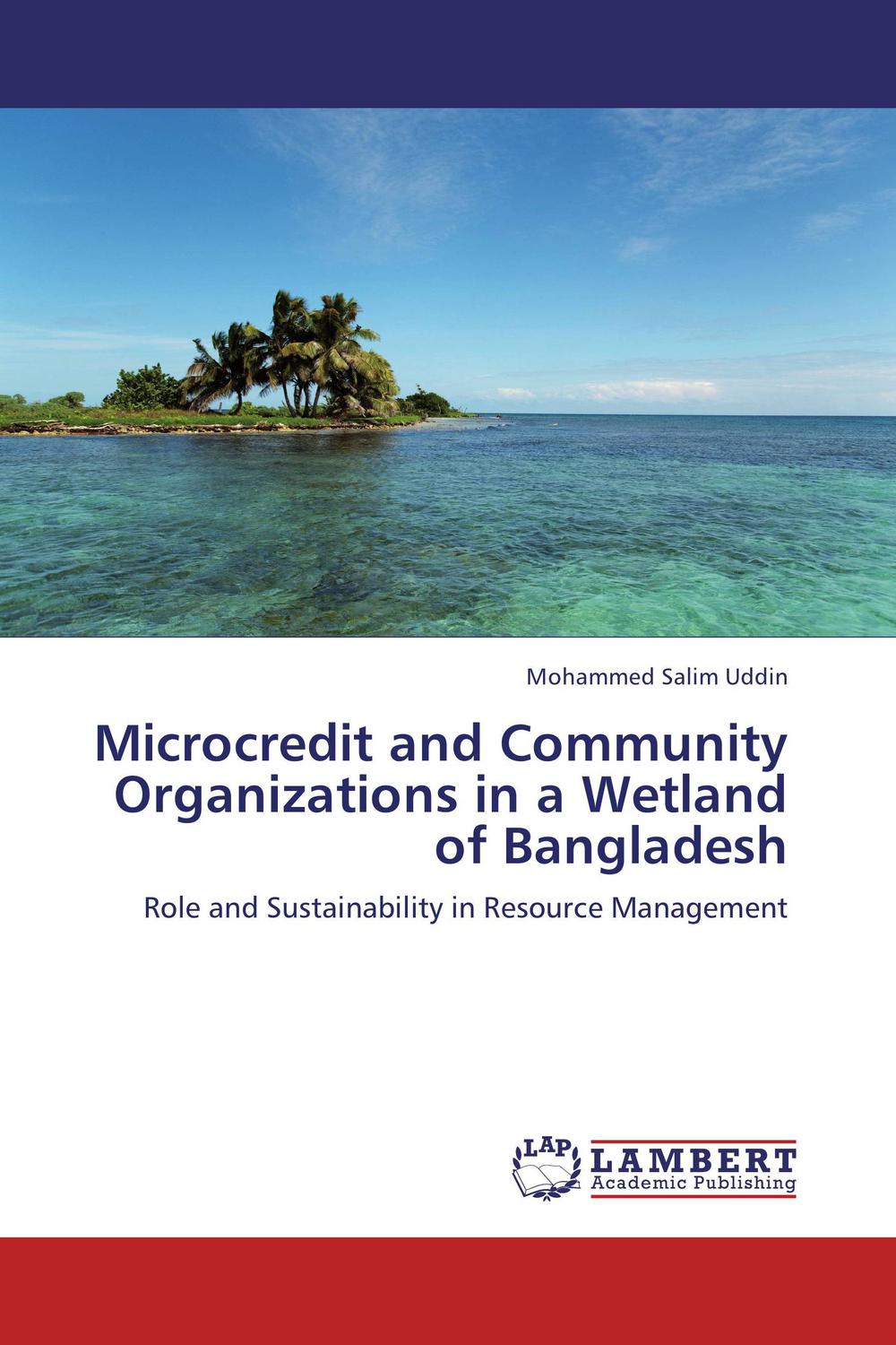 microcredit and community organizations in a wetland of bangladesh role and sustainability in resource