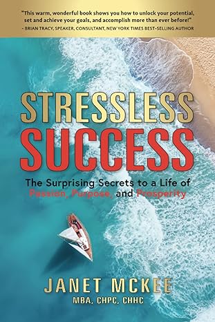 stressless success the surprising secrets to a life of passion purpose and prosperity 1st edition janet mckee