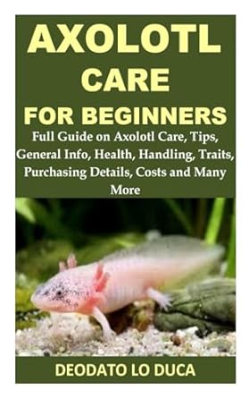 axolotl care for beginners full guide on axolotl care tips general info health handling traits purchasing