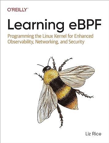 learning ebpf programming the linux kernel for enhanced observability networking and security 1st edition liz