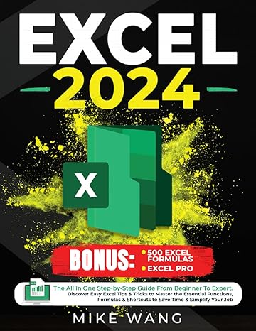 excel 2024 1st edition mike wang 979-8870099415