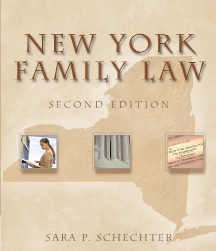 new york family law 2nd edition sara p schechter 140187956x, 9781401879563