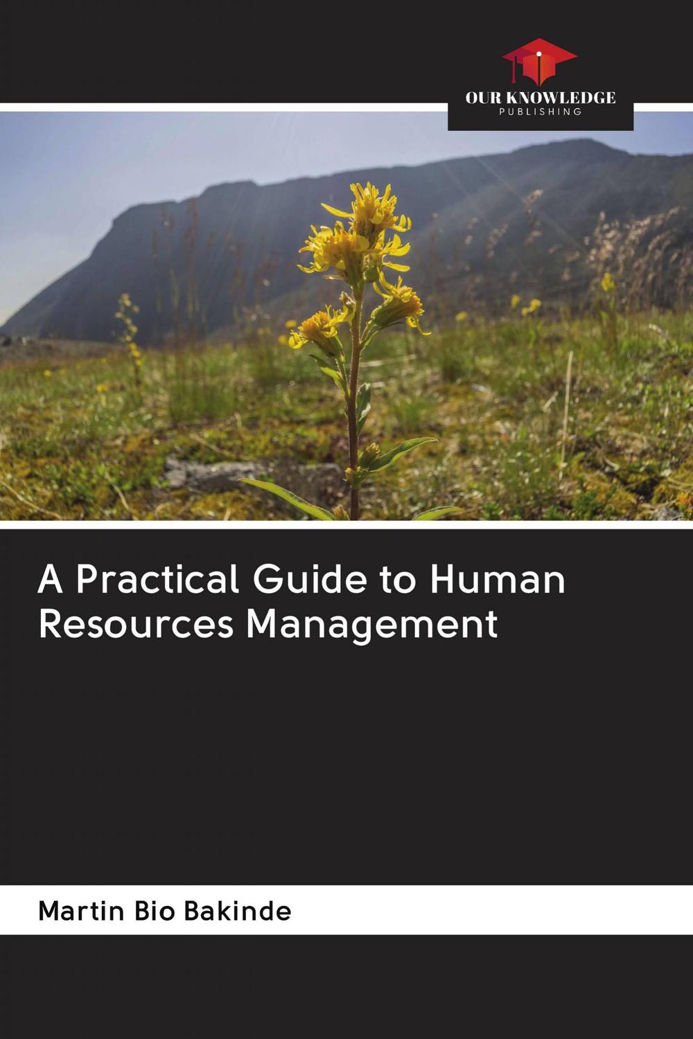 a practical guide to human resources management 1st edition bakinde, martin bio 620285491x, 9786202854917