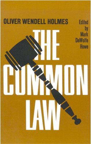 common law 1st edition oliver wendell holmes 0316371327, 9780316371322