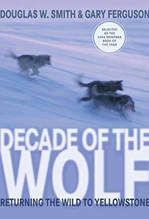 decade of the wolf returning the wild to yellowstone 1st edition gary ferguson ,douglas w smith 1592288863,