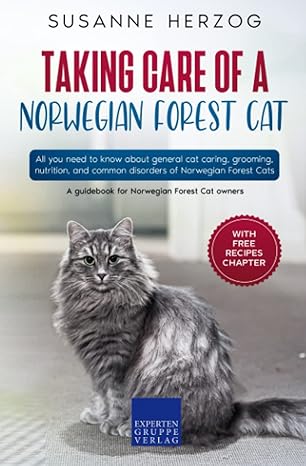 taking care of a norwegian forest cat all you need to know about general cat caring grooming nutrition and