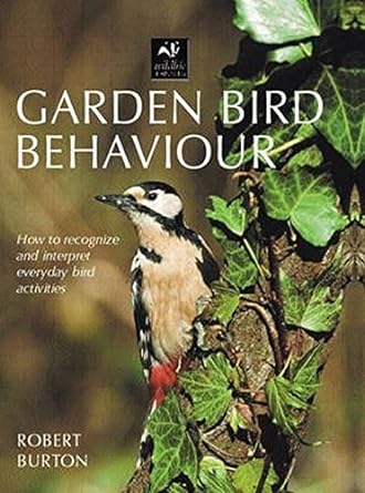 garden bird behaviour how to recognize and interpret everyday bird activities 1st edition robert burton