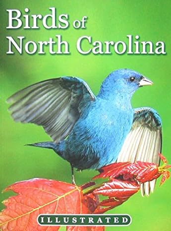 birds of north carolina illustrated 1st edition tim ohr ,curtis smalling 0984518916, 978-0984518913