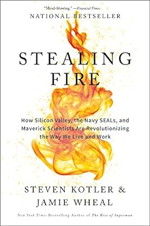 stealing fire how silicon valley the navy seals and maverick scientists are revolutionizing the way we live