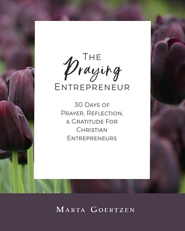 the praying entrepreneur 30 days of prayer reflection and gratitude for christian entrepreneurs 1st edition
