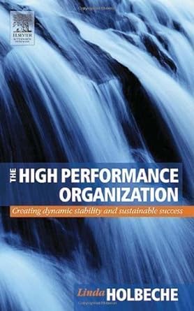 the high performance organization creating dynamic stability and sustainable success by holbeche linda 1st