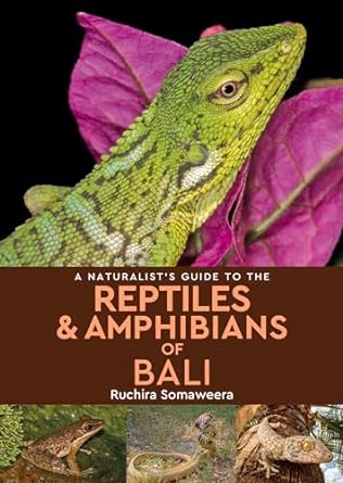 a naturalists guide to the reptiles and amphibians of bali 1st edition ruchira somaweera 1909612952,