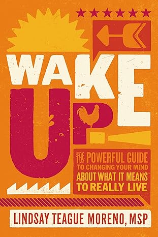 wake up the powerful guide to changing your mind about what it means to really live 1st edition lindsay