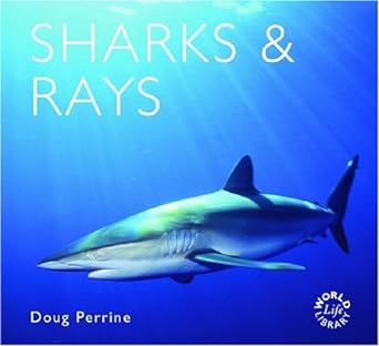 sharks and rays 1st edition doug perrine 1841072915, 978-1841072913