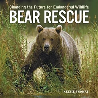 Bear Rescue Changing The Future For Endangered Wildlife