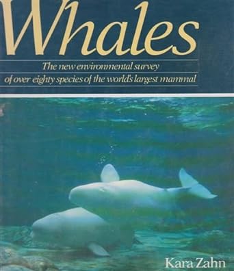 whales 1st edition kara zahn 0747201080, 978-0747201083