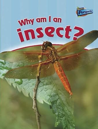 why am i an insect 1st edition greg pyres 1844215644, 978-1844215645