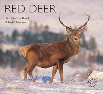 red deer 1st edition tim clutton brock, neil mcintyre 1900455579, 978-1900455572