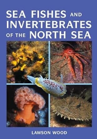 sea fishes and invertebrates of the north sea 1st edition lawson wood 1847731252, 978-1847731258