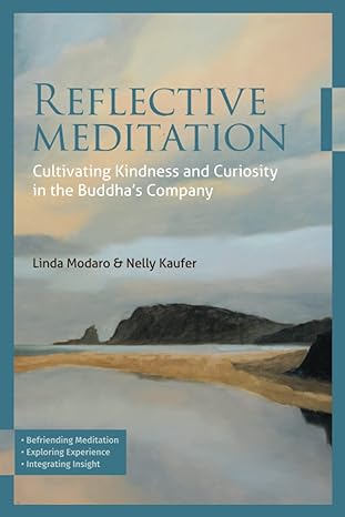 reflective meditation cultivating kindness and curiosity in the buddha s company 1st edition linda modaro