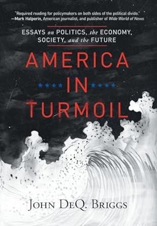 america in turmoil essays on politics the economy society and the future 1st edition john deq briggs