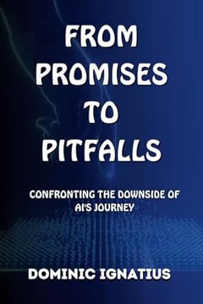 from promises to pitfalls confronting the downside of ais journey 1st edition dominic ignatius b0chlc8dvc,