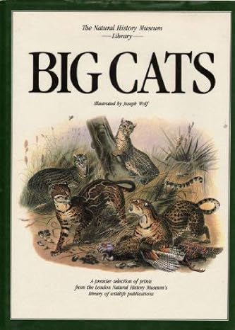 Big Cats A Selection Of Magnificent Illustrations By Joseph Wolf First Published In London In 1883
