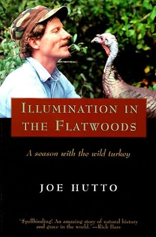 illumination in the flatwoods a season with the wild turkey 1st edition joe hutto 1558216944, 978-1558216945