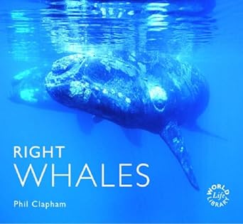 right whales 1st edition phil clapham 1841072559, 978-1841072555