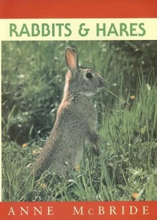rabbits and hares 1st edition anne mcbride ,guy troughton 1873580630, 978-1873580639