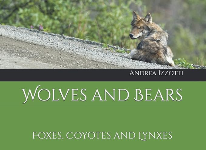 wolves and bears foxes coyotes and lynxes 1st edition andrea izzotti b09nrd8fjl, 979-8788289502
