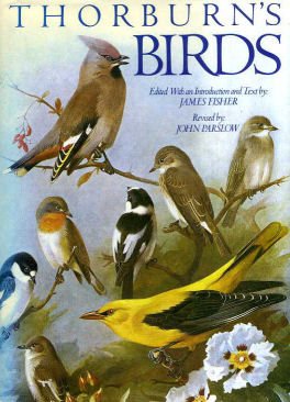 thorburns birds 1st edition archibald thorburn ,james fisher 1850520186, 978-1850520184